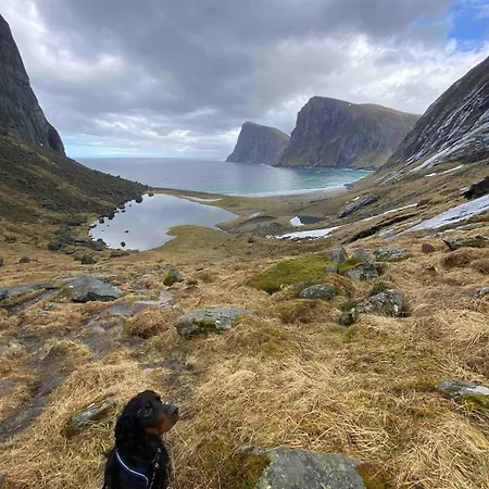 Apartamento Cozy In The Middle Of Lofoten Vestvagoy